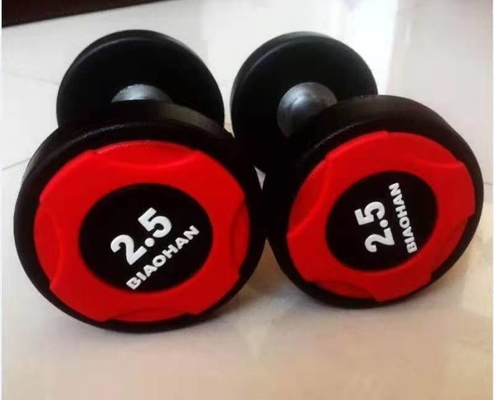 Custom Adult 2.5kg Gym Fitness Dumbbell Rubber And Steel Material