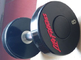 Black Fitness Weights Dumbbells Gym Accessory With PU / Steel Material